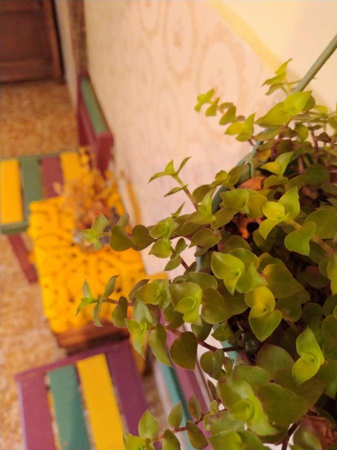 Hostel Тирадентеш Екстериор снимка